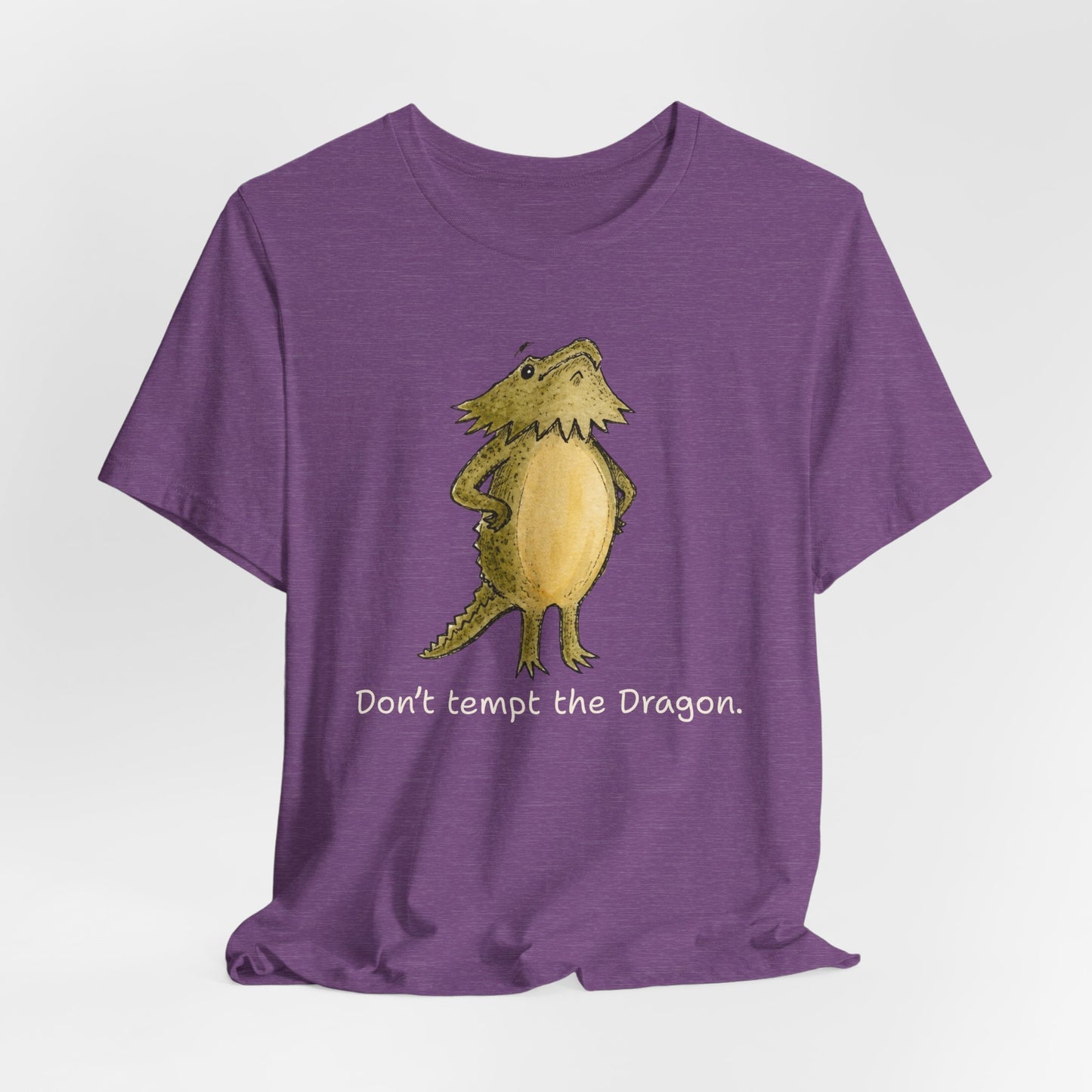 Don't Tempt the Dragon Shirt