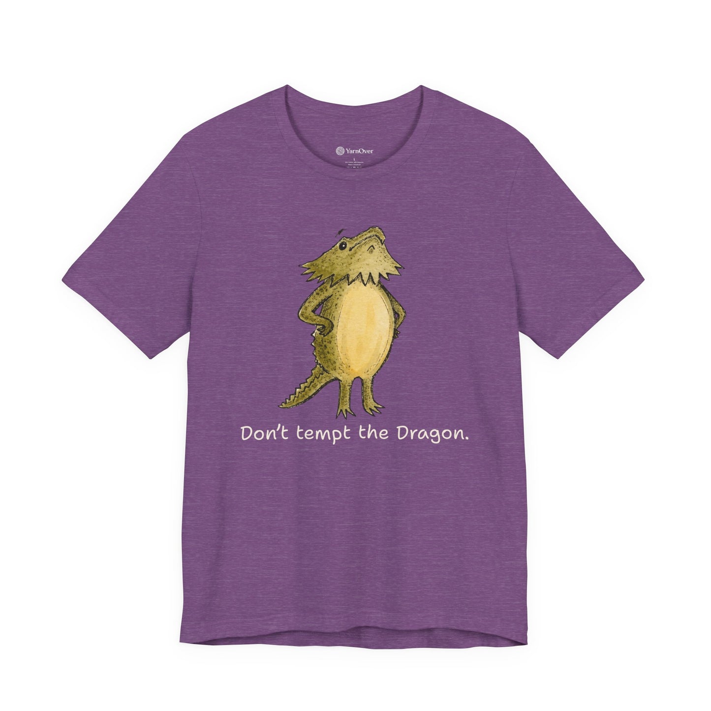 Don't Tempt the Dragon Shirt